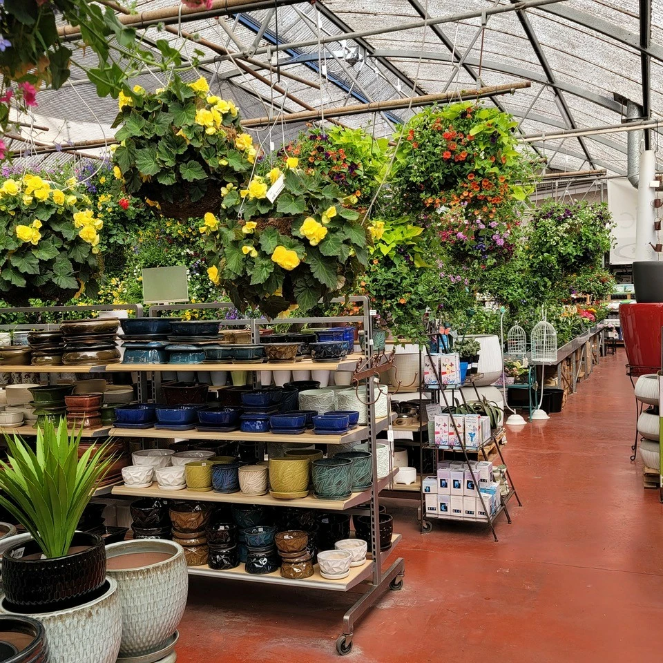 Welcome to Homestead Nurseryland & Florist