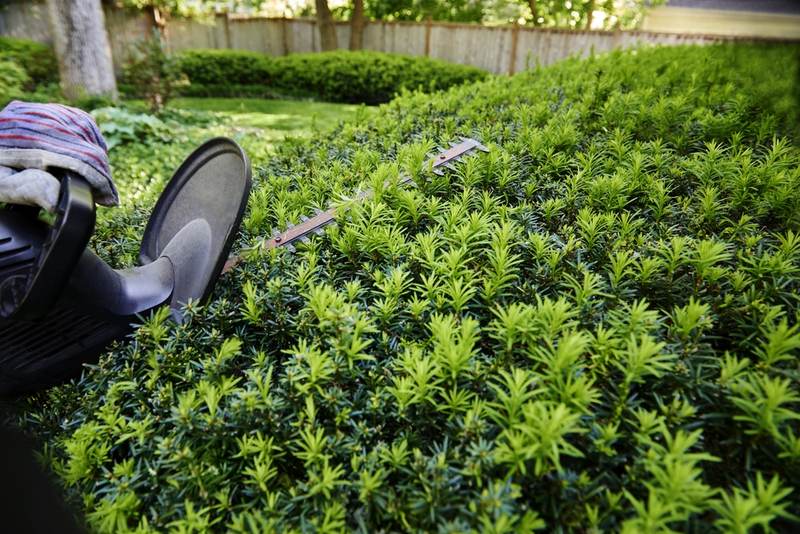 Top 5 alternatives to box hedging